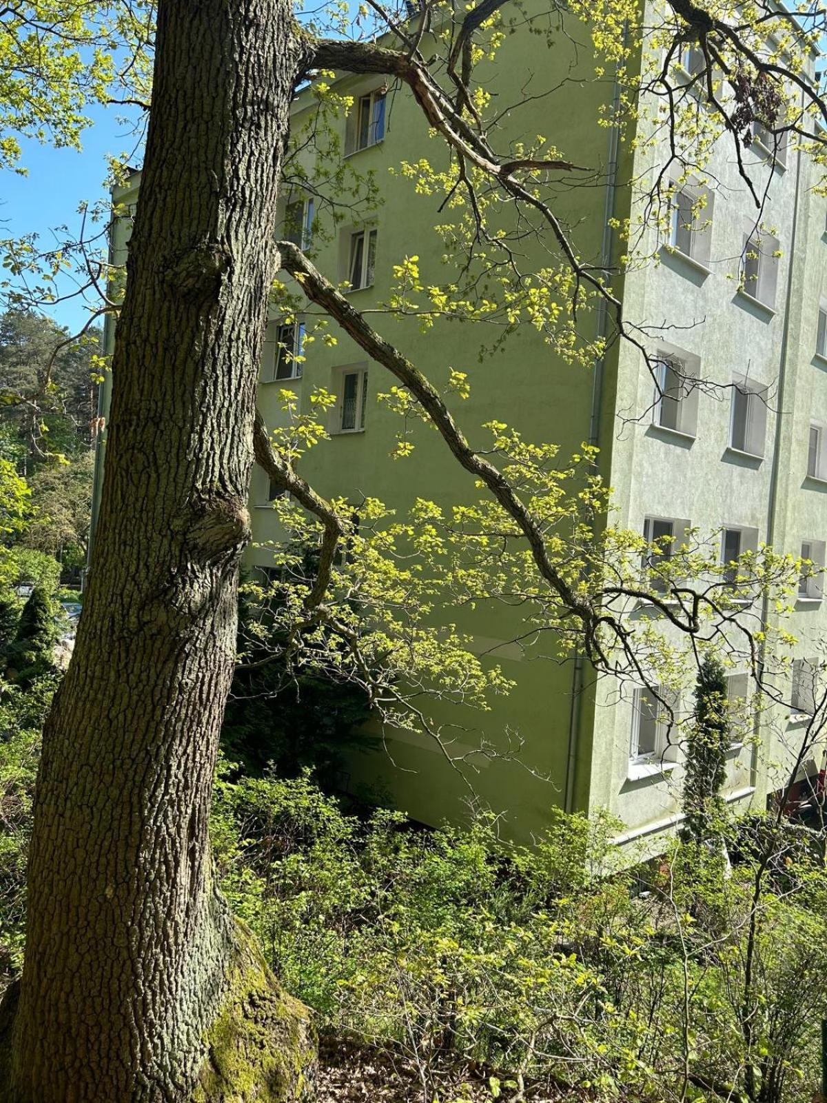 Apartament Przylesie Σόποτ Εξωτερικό φωτογραφία